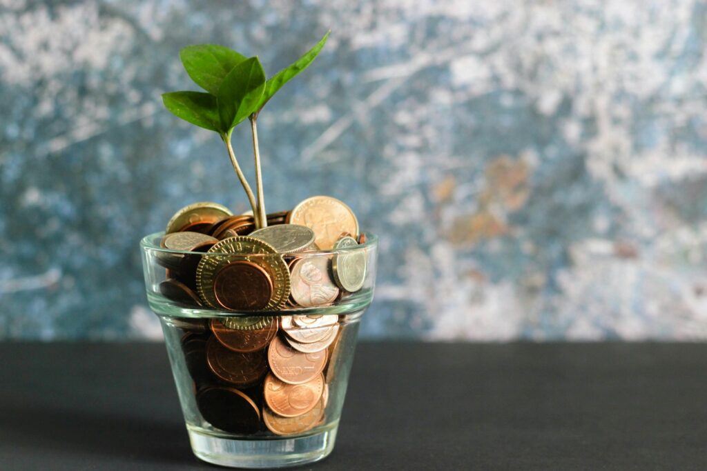 Plante avec des pièces de monnaie